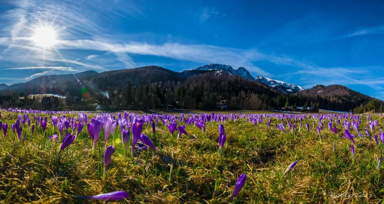 Regionalny Domek Pod Skocznia Zakopane