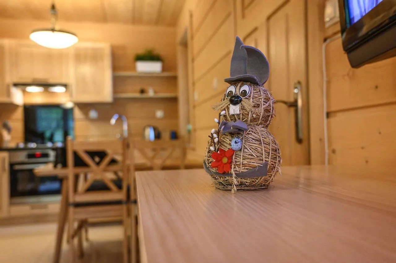 Chalet Regionalny Domek Pod Skocznia Zakopane Poland